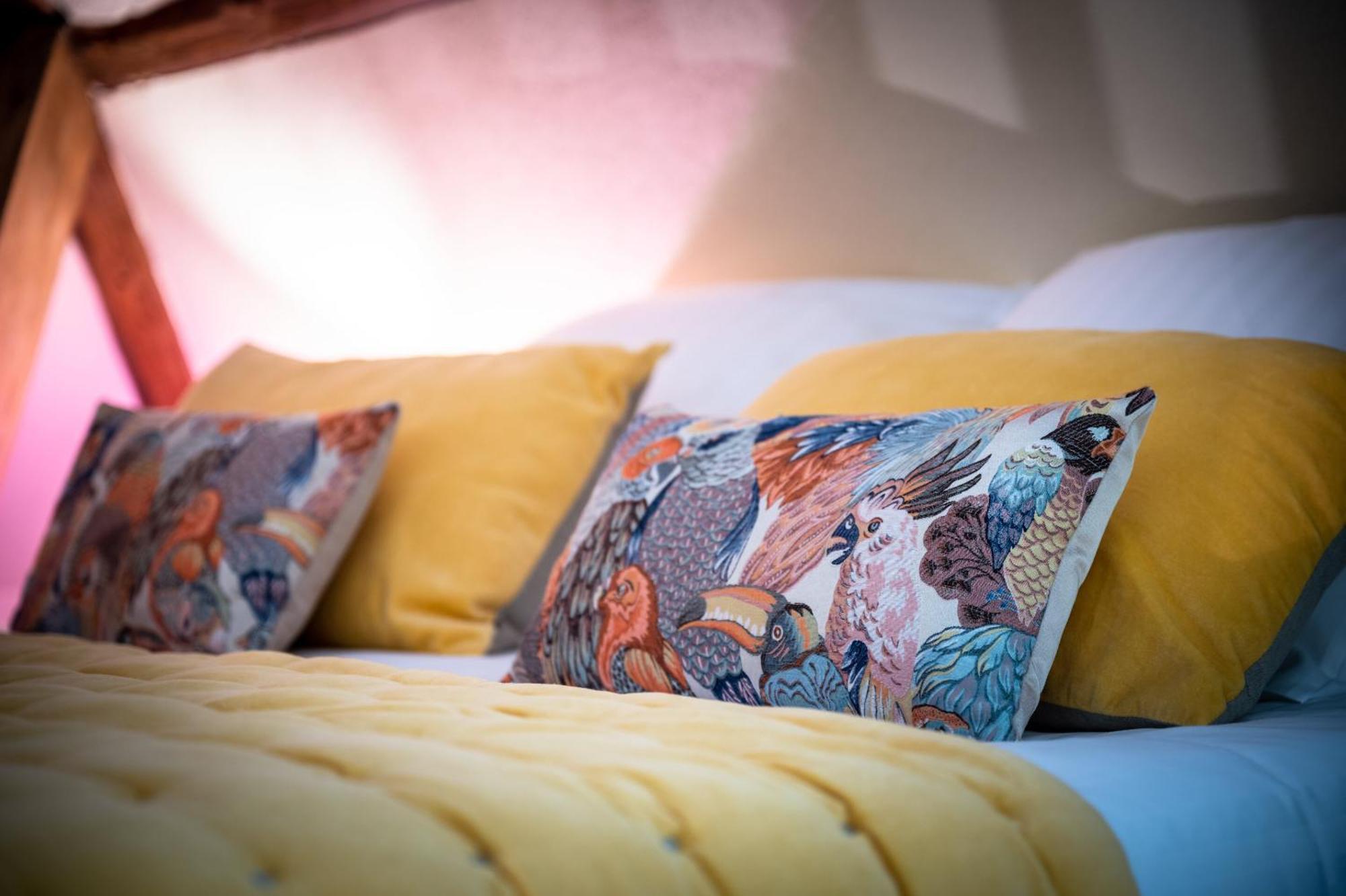 La Dominotte Bed and Breakfast Demigny Værelse billede